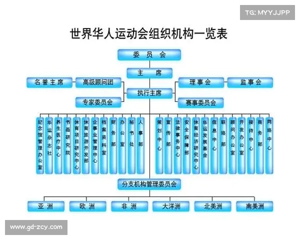 体育赛事公司组织架构体育赛事执行公司 体育赛事公司组织架构体育赛事执行公司